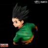 Buste Gon Figurine Plastoy | Achat en ligne