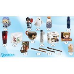 Assortiment Harry Potter Innelec | Box Officielle