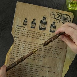 Stylo Baguette Hermione Granger - Distrineo