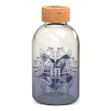 Bouteille verre Harry Potter petit format | Stor