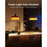Govee Pendant Light Smart Wi-Fi Bluetooth | Plafonnier LED