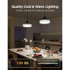 Govee Pendant Light Smart Wi-Fi Bluetooth | Plafonnier LED