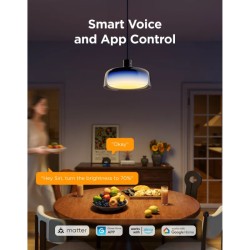Govee Pendant Light Smart Wi-Fi Bluetooth | Plafonnier LED