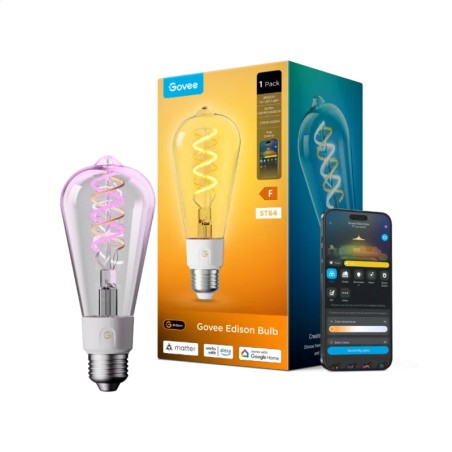 Ampoule LED E27 ST64 Govee intelligente | Éclairage connecté