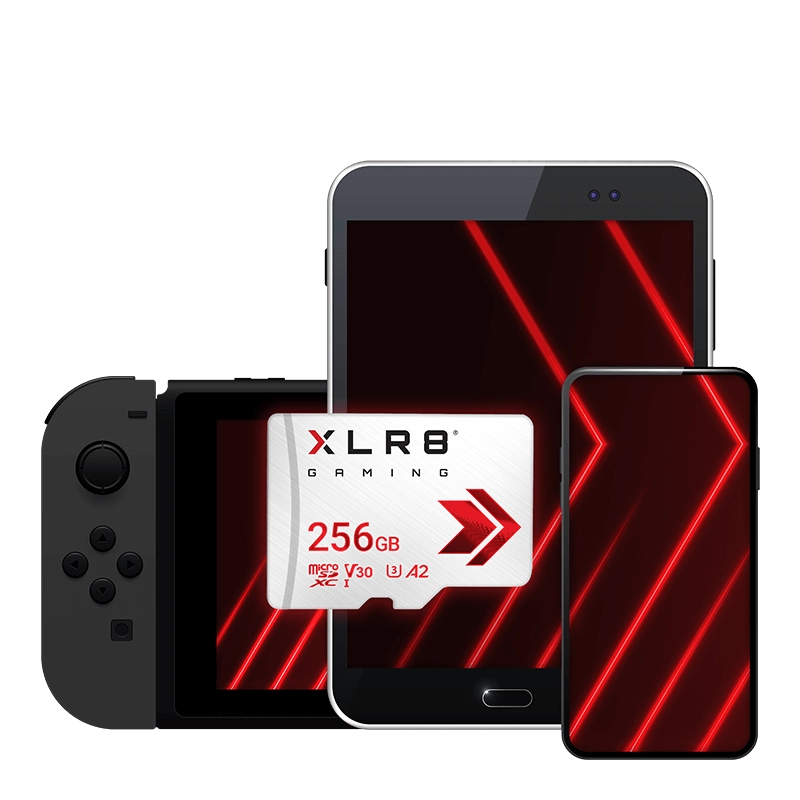 PNY CARTE MICRO SDXC XLR8 GAMING CLASS 256GB