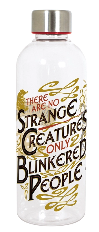 $BOUTEILLE ISOTHERME EN ACIER WONDER WOMAN 780ML