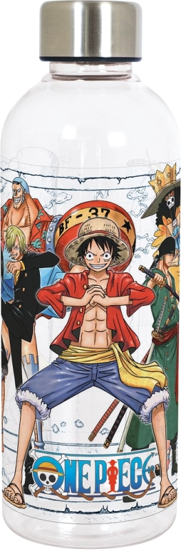 HYDRO BOUTEILLE ONE PIECE ANIME 850ML