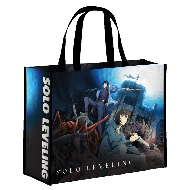 SAC CABAS SOLO LEVELING AWAKEN