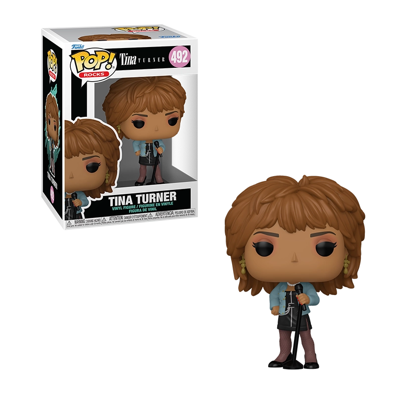 POP ROCKS : TINA TURNER - WLGTDWI